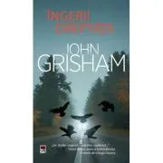 Ingerii dreptatii. Editie de buzunar de John Grisham