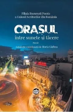 Orasul intre sunete si tacere de Horia Garbea