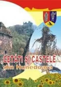 Cetati si castele din Hunedoara de Nicu Jianu