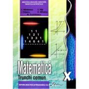 Manual matematica clasa a 10-a trunchi comun