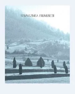 Stravezimea frumusetii de Marius Pandele