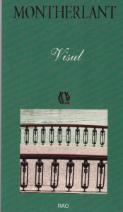 Visul