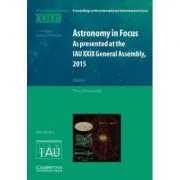 Astronomy in Focus XXIXB: Volume 2: As Presented at the IAU XXIX General Assembly, 2015 de Piero Benvenuti