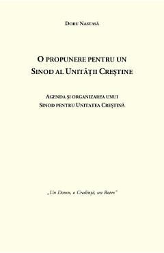 O propunere pentru un Sinod al Unitatii Crestine