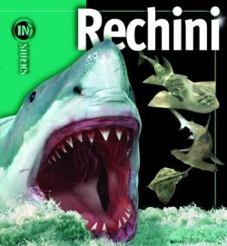 Rechinii