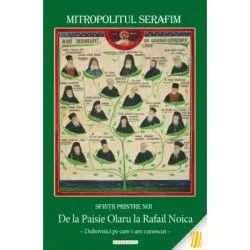 Sfintii printre noi: de la Paisie Olaru la Rafail Noica. Duhovnici pe care i-am cunoscut de Mitropolitul Serafim Joanta