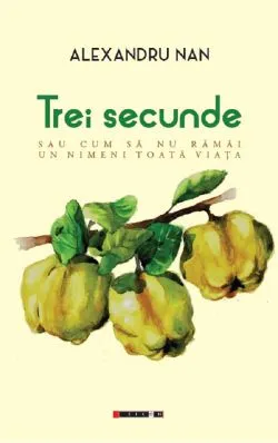 Trei secunde sau cum sa nu ramai un nimeni toata viata de Alexandru Nan