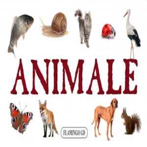 Animale