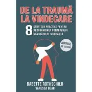 De la trauma la vindecare. 8 strategii practice pentru redobandirea controlului si a starii de siguranta. Jurnal de lucru de Babette Rothschild