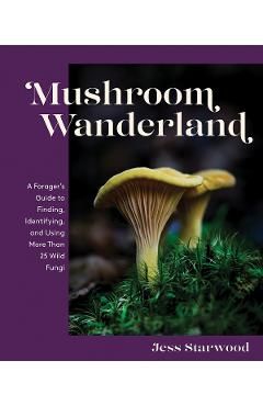Mushroom Wanderland: A Forager