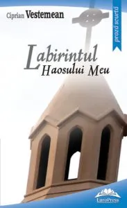 Labirintul haosului meu de Ciprian Vestemean