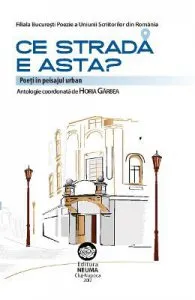 Ce strada e asta? de Horia Garbea