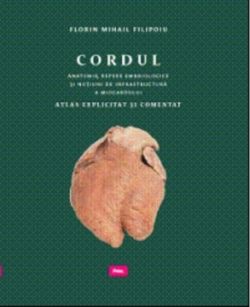 Cordul
