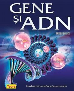 Gene si AND