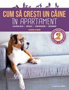 Cum a cresti un caine de apartament. Alegerea rasei, educatie, comportament, deprinderi.