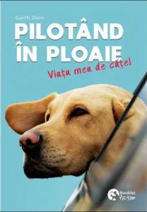 Pilotand in ploaie