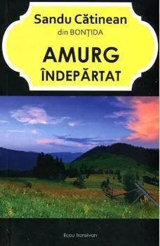 Amurg Indepartat de Sandu Catinean