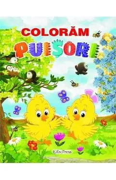 Coloram puisori de Autor Anonim