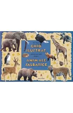 Ghid ilustrat pentru cei mici despre animale salbatice de M. Tufan