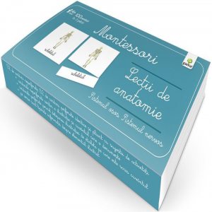 Lectii de anatomie: Sistemul osos. Sistemul nervos - Lectii Montessori