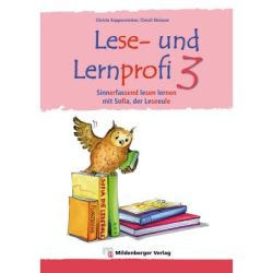 Lese- und Lernprofi 3 Schulerarbeitsheft silbierte Ausgabe Leseheft