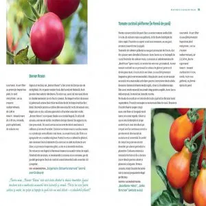 Tomatele - de la pasiune la practica de Melanie Grabner