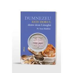 Dumnezeu este dorul dintre doua liturghii de Pr. Ioan Badilita