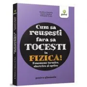Fenomene termice, electrice si optice de Ioana Stoica
