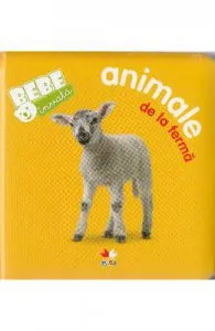 Bebe invata de Animale de la ferma
