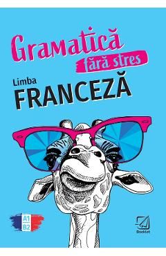 Gramatica fara stres. Limba franceza