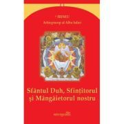 Sfantul Duh, Sfintitorul si Mangaietorul nostru
