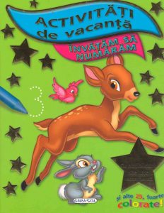 Activitati de vacanta. Invatam sa numaram