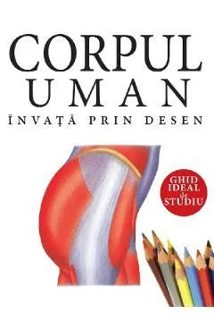 Corpul uman. Invata prin desen de Autor Anonim