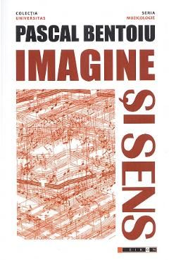Imagine si sens. Eseu asupra fenomenului muzical
