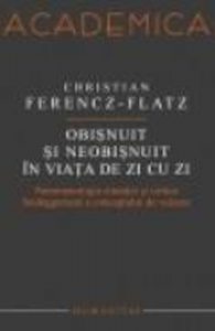 Obisnuit si neobisnuit in viata de zi cu zi. Fenomenologia situatiei si critica heideggeriana a conceptului de valoare