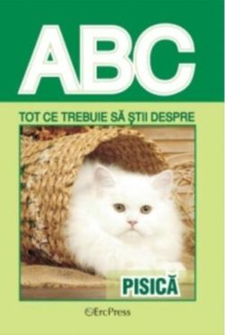 Tot ce trebuie să știi despre pisică