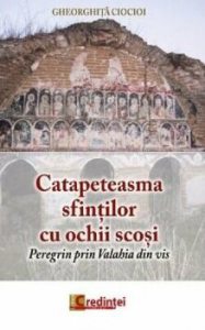 Catapeteasma sfintilor cu ochii scosi. Peregrin prin Valahia din vis