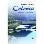 Colonia (aproape ca un blues) de Stelian Turlea