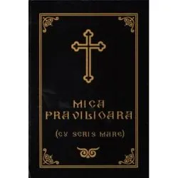Mica pravilioara cu scris mare