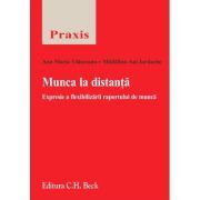 Munca la distanta. Expresie a flexibilizarii raportului de munca