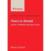 Munca la distanta. Expresie a flexibilizarii raportului de munca de Ana-Maria Vlasceanu