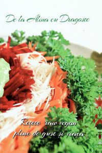 Retete raw vegane pline de gust si viata