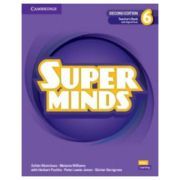 Super Minds Level 6 Teacher