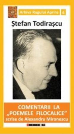 Comentarii la Poemele filocalice scrise de Alexandru Mironescu
