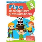Fise de recapitulare si evaluare finala de Nicoleta Popescu