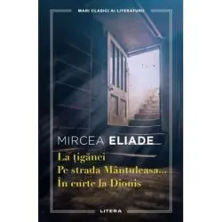La tiganci. Pe strada Mantuleasa. In curte la Dionis de Mircea Eliade