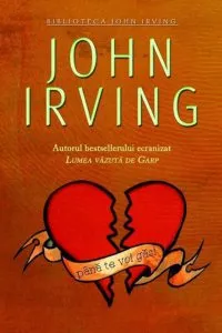 Pana te voi gasi de John Irving