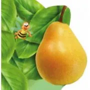 Para. Colectia Primii pasi de Arcadie Suceveanu