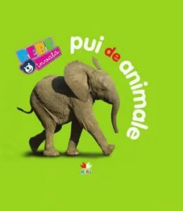 Bebe invata: Pui de animale