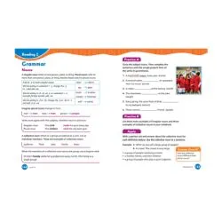 New Cornerstone Grade 5 Teacher's Resource Book